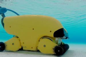 Dolphin Wave200XL Robotic Pool Cleaner