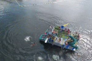 Jungle Float: $71000 Jungle Gym on Water with 25hp Motor