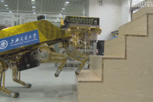 Chinese Researchers Develop Smart 6/4 Legged Robots for Rescue Missions