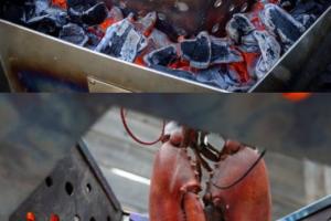 MIG-Stove: Stainless Steel Lobster Grill