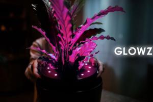 Glowze Smart Lights for Your Plants