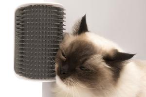 Senses 2.0 Self Groomer for Cats
