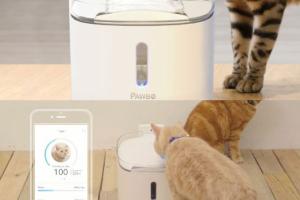 PAWBO Spring: Smart Pet Water Fountain