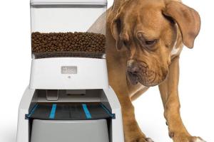 Wagz Smart Dog Feeder with Portion Control, Video Camera, Alexa