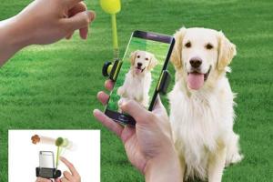 Perfect Pic Pet Treat Launcher for Smartphones