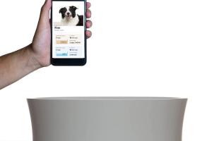 Obe ProBowl: Smart Dog Bowl & Water