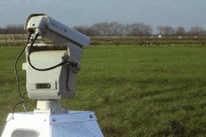 Agrilaser Automatic Laser Bird Deterrent