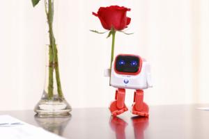 Dancebot: Dancing Robot Speaker