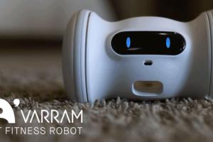 VARRAM Fitness Robot for Your Pets