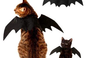 Bat Wings for Cats