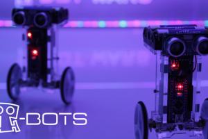T-Bot Arduino Based Self Balancing Robot