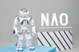 NAO⁶ Advanced Humanoid Robot