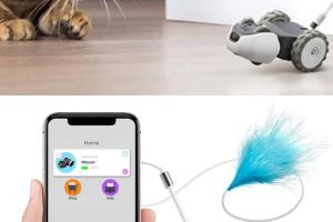 Petronics Mousr: App Smart Robotic Mouse for Your Cat