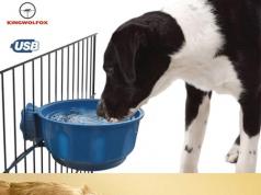 Kingwolfox Heated Drinking Bowl for Dogs & Cats