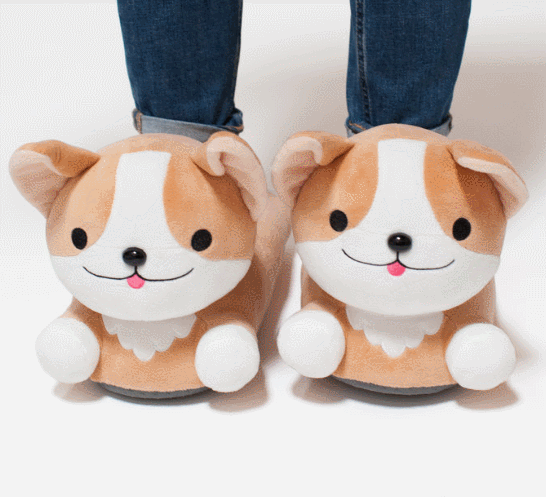 mens corgi slippers