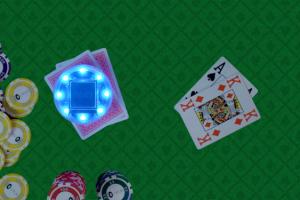 Floplay Connected Card Guard