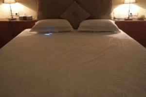 Cleansebot: Bed Bacteria Killing Robot for Travelers
