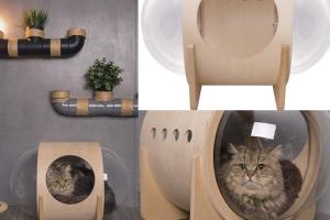 MYZOO Spaceship Alpha Cat Bed