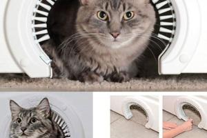 Purrfect Portal Cat Door with Grooming Brush