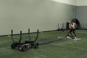 TANK All Surface Sled from Torque Fitness