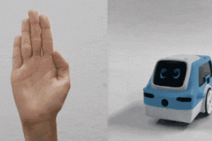 Robolink Zumi: AI Self Driving Car Kit
