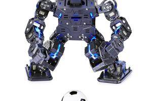 Robo-Soul Soccer Playing Fighting Robot