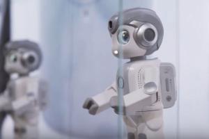 Alpha Mini Dancing Robot from UBTECH