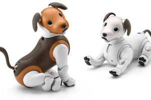 aibo Robot Dog – Chocolate Edition