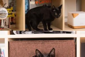 Thick Felt Cat Cave for IKEA Shelves