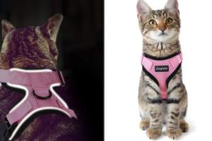 Eagloo Reflective Cat Harness