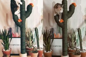 CACTUS Cat Tree