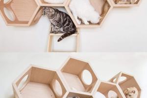 MYZOO Busy Cat – Modular Hexagonal Cat Activity Center