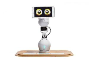 Fable Dancing Educational Robot