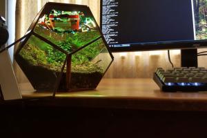 DIY: Raspberry Pi powered Terrarium