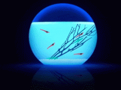 Lumin Sphere Bioluminescent Aquarium