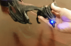 DIY: 3D Printed Raspberry Pi Voice-responsive Game of Thrones Dragon