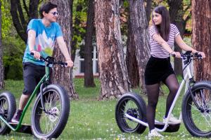 Vinghen Ti1 Electric Push Scooter with Fat Tires