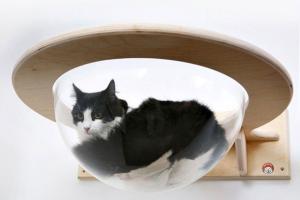 Wall-Mounted Transparent Cat Lounge