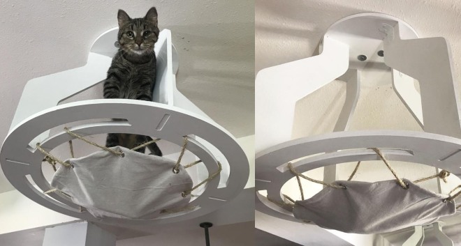 cat ceiling hammock