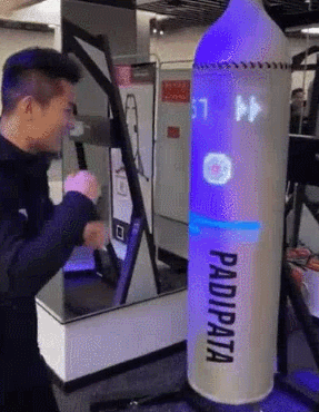 interactive boxing bag
