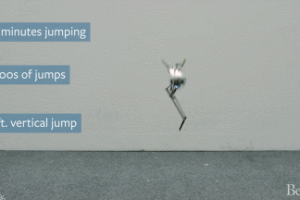 SALTO Robot Can Bounce, Jump Through Obstacle Courses