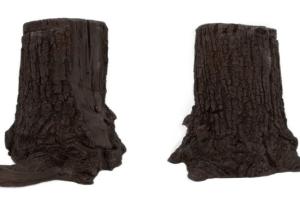 Xtreme Life 4K Tree Stump Hidden Camera