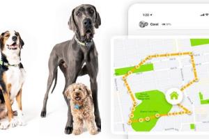 Whistle Go Explore Pet Health & Location Tracker with AT&T Service