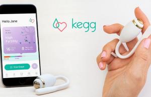 Kegg: Fertility Tracking Kegel Device with Bluetooth