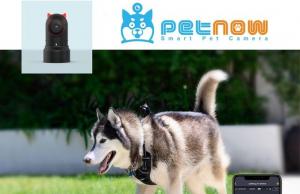 PetNow: Wearable Smart POV Pet Camera