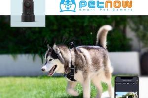 PetNow: Wearable Smart POV Pet Camera