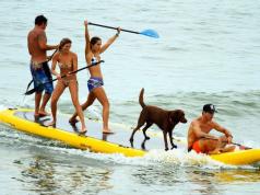 Supflex BigSup 18′ Board for Group Paddling