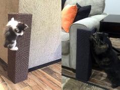 Sofa-Scratcher Squared Furniture Protector for Cats