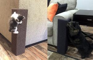 Sofa-Scratcher Squared Furniture Protector for Cats