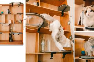 Cat-Kick Modular Cat Hammock & Steps